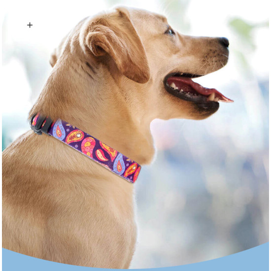 QQPETS Durability Adjustable Dog Cat Collars