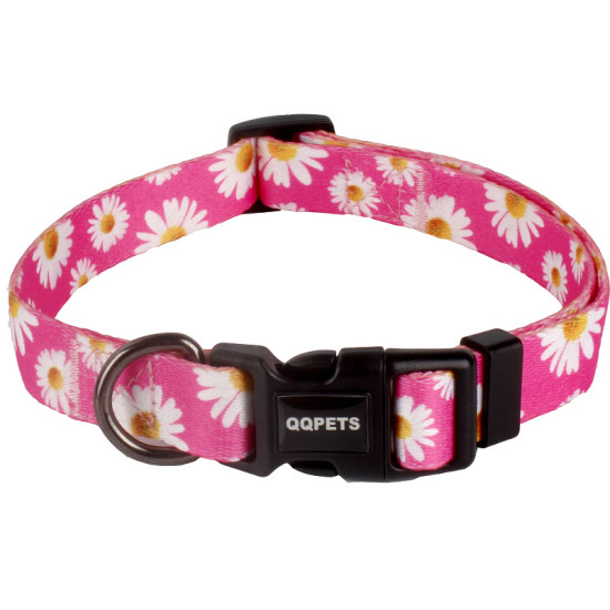 QQPETS Fashionable Adjustable Dog Collar