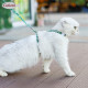 DOGLEMI Cat Harness Cat Harness And Leash Escape Proof Cat Harness