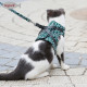 DOGLEMI CAT Leashes & Collars Cat Traction Rope Chest Strap Cat Vest Style Clothes To Prevent Breaking Free From Cat And Dog Chain Walking Cat Rope