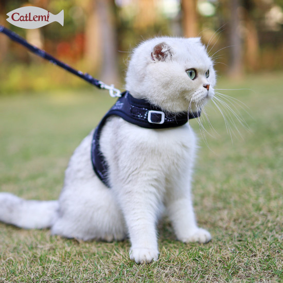 DOGLEMI CAT Leashes & Collars Cat Traction Rope Walking Cat Rope Chest Vest Chest Strap Breathable Anti-breakaway Cat Chain