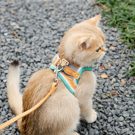 CAT Leashes & Collars Cat Traction Rope Vest Type Reflective Chest Strap Anti-breakaway Cute Outgoing Traction Rope Walking Cat Special Rope