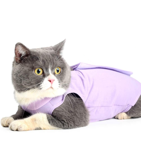 Cat Recovery Suit for Breathable Anti Licking