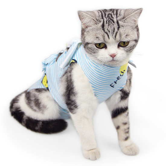 Cat Recovery Suit for Post-Operative Care