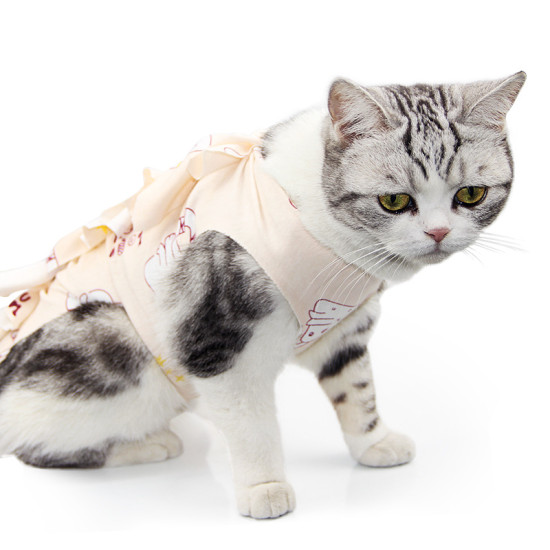 Cat Recovery Suit for Post-Operative Care