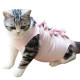 Cat Recovery Suit for Post-Operative Care