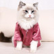 Cat T-Shirt Cool Summer Clothing Comfortable Cat Japanese Style Clothing Hair Two Legged Clothes Silk Clothes