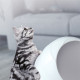 Boxes Large  Spherical Plastic Litter Box Semi-enclosed Plastic Litter Box Splash-proof And Deodorizing Cat Space Capsules Litter Box