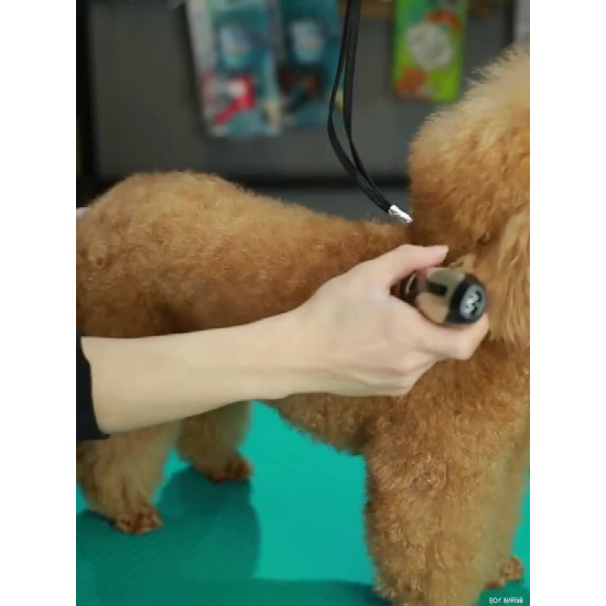 USB Rechargeable Cat Dog Electric Hair Clipper