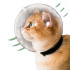 Cat Space Hood Safety Breathable Cat Muzzles