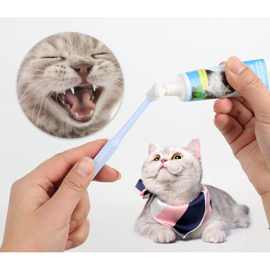 Cat Dog Rotary Oral Cleaning Toothbrush 