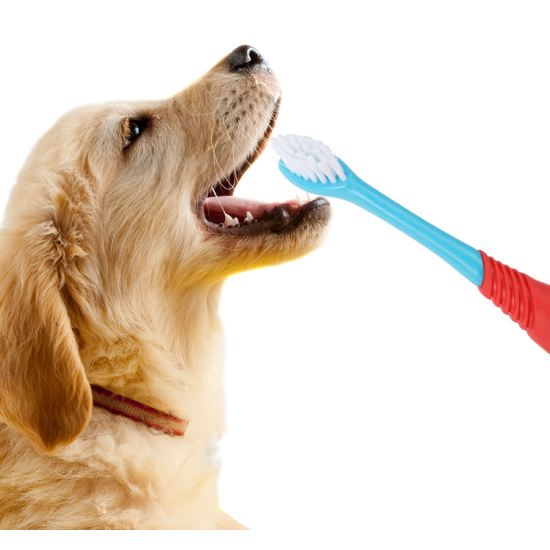 Cat Dog Dual Ended Oral Cleaning Toothbrush